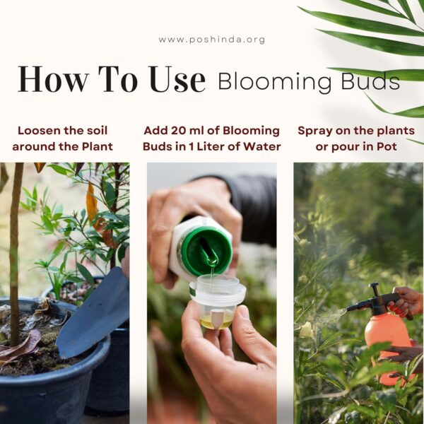 Viraj Blooming Buds Liquid Organic Fertilizer - Image 3