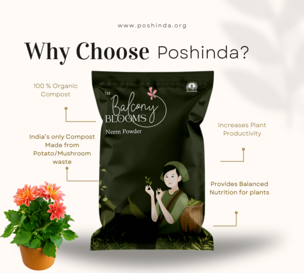 Neem Powder 1 Kg - Image 3